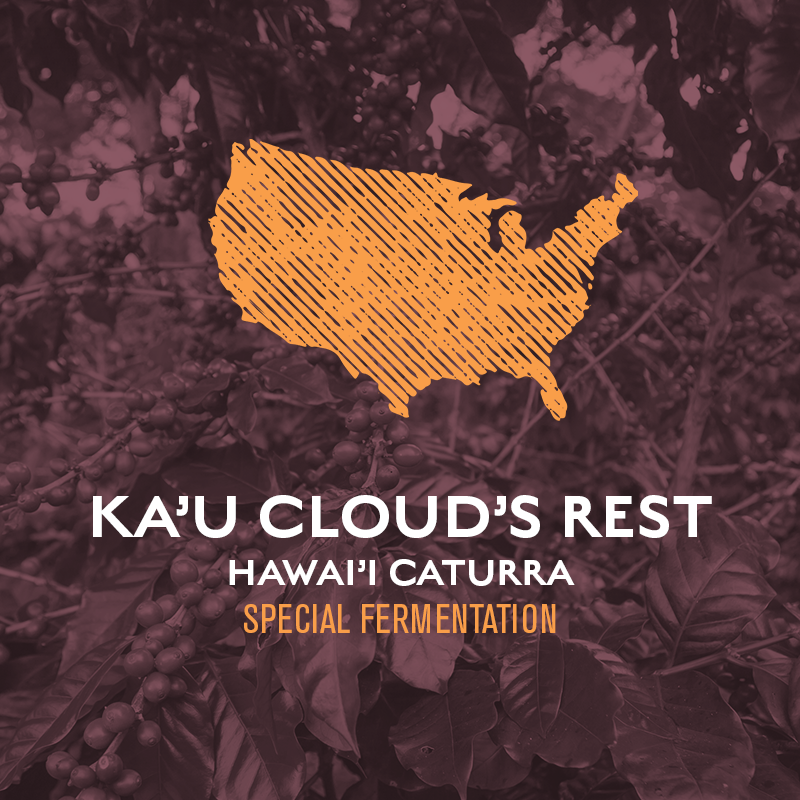 Ka'u Cloud's Rest