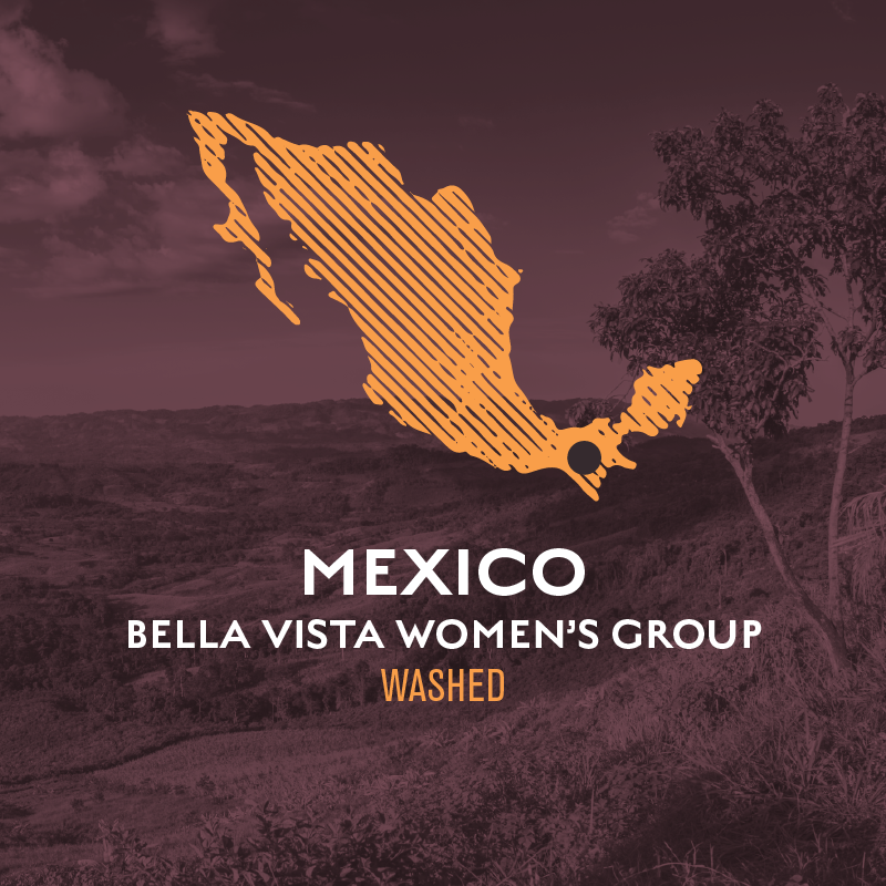 Mexico Bella Vista Women's Group Chiapas