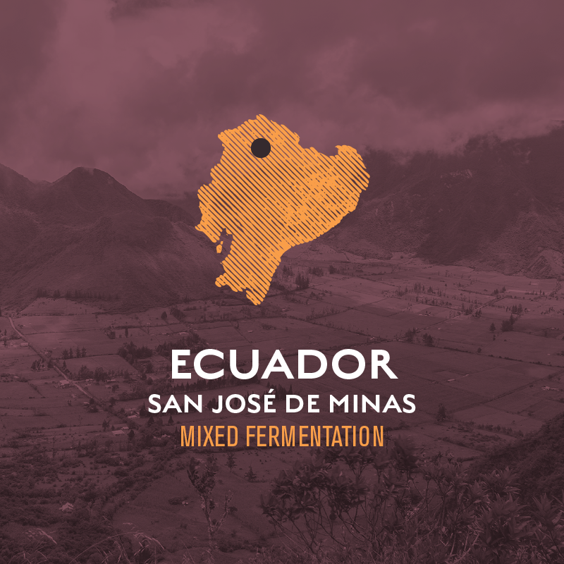 Ecuador San José de Minas Galo Morales Flores Mixed Fermentation