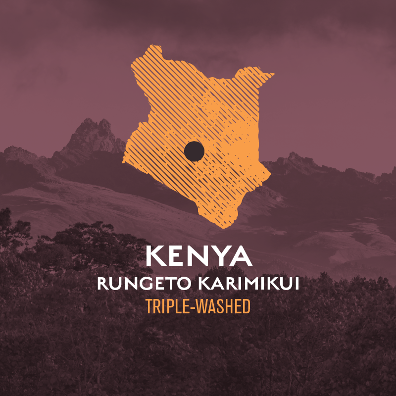Kenya Rungeto Karimikui Triple-Washed